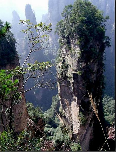 長沙出發(fā)到張家界溶洞奇觀黃龍洞、國家森林公園、袁家界、峰林之王天子山三日游（早班）
