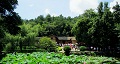 長沙出發(fā)到花明樓、韶山、張家界國家森林公園、天門仙山國家森林公園四日游